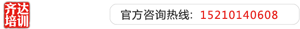 妹妹逼流水齐达艺考文化课-艺术生文化课,艺术类文化课,艺考生文化课logo